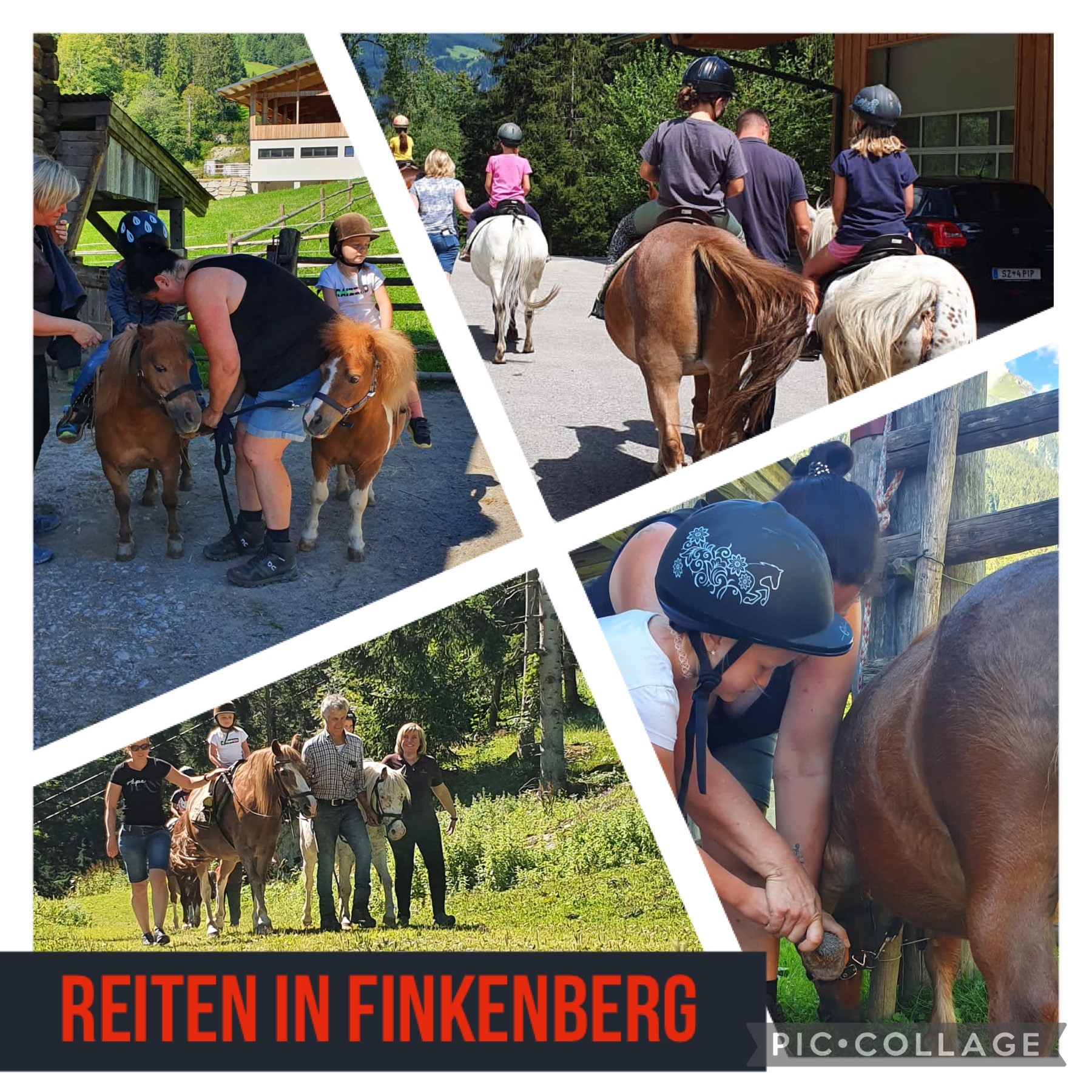 Reiten in Finkenberg
